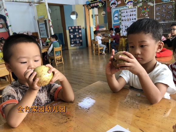 附件：IMG_1316.JPG