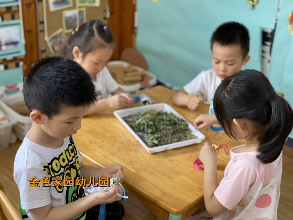 附件：IMG_9239.JPG