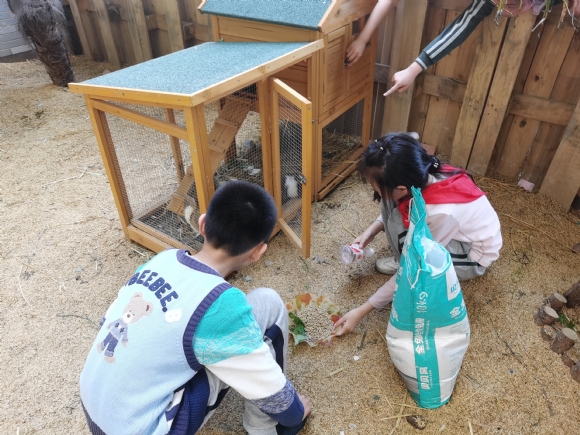 附件：IMG_20240422_150346.jpg