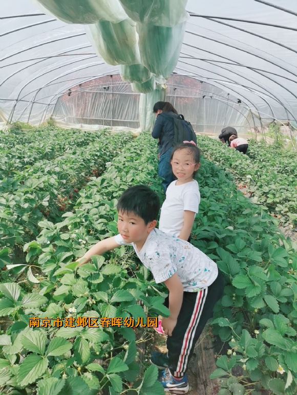 附件：QQ图片20190419093020.jpg