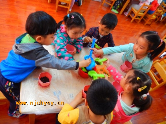 附件：conew_dscn2813.jpg