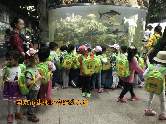 附件：conew_img_9498.jpg