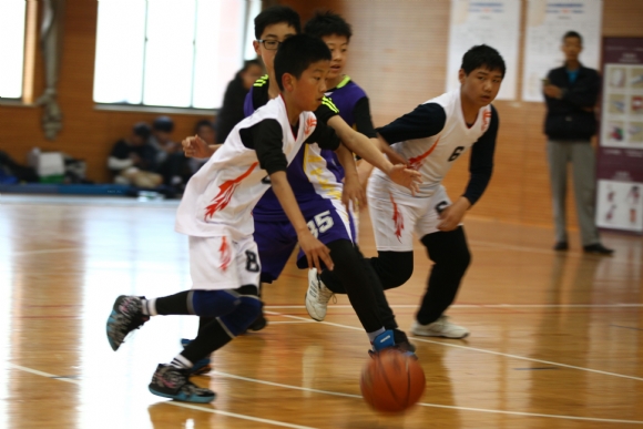 1555307460584009873.jpg QQ图片20190415105455.jpg