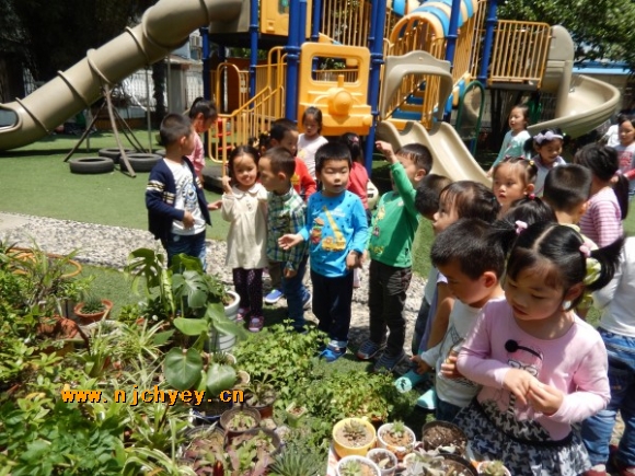 附件：conew_dscn3228.jpg