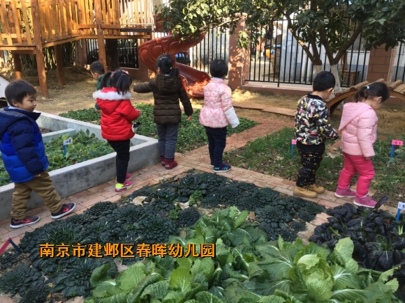 附件：conew_img_7227.jpg