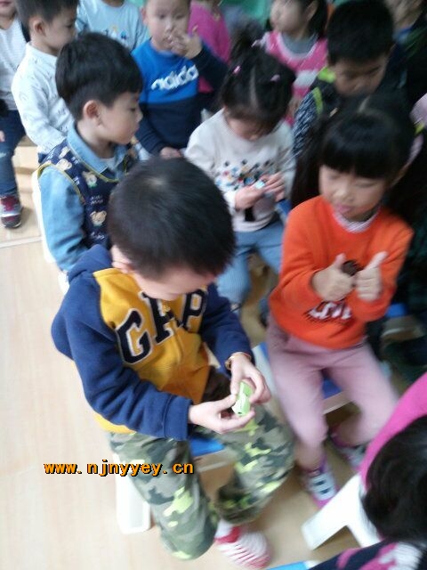 附件：5.jpg