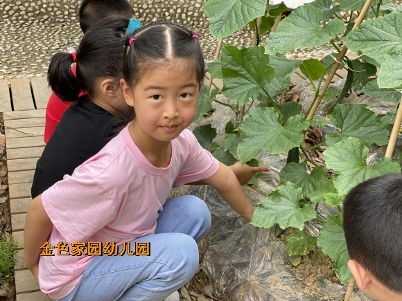 附件：IMG_8944.JPG