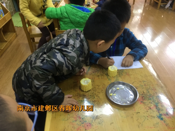 附件：IMG_0208.JPG