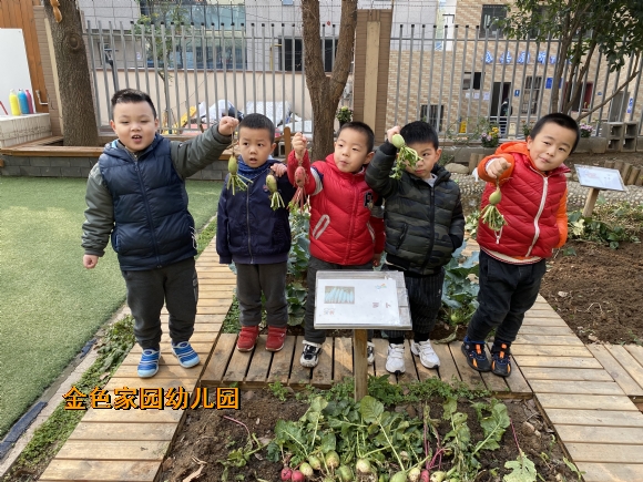 附件：IMG_5391.JPG