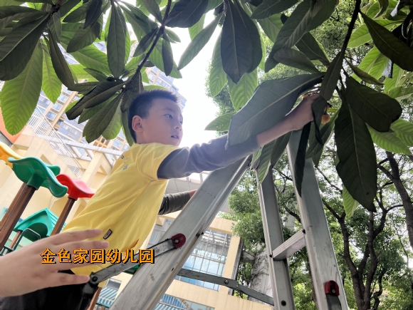 附件：IMG_0328.JPG
