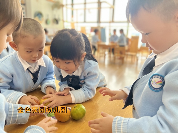 附件：1666836702097.jpg