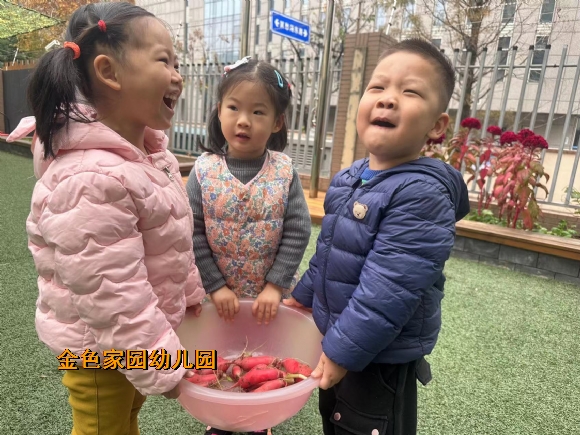 附件：43d33caf765fd936877361a751b75b8.jpg