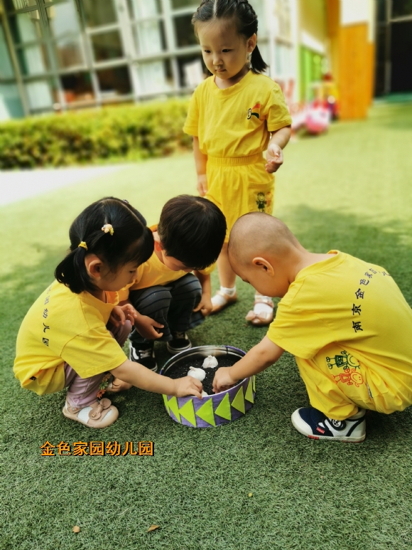 附件：IMG_20190909_093908.jpg