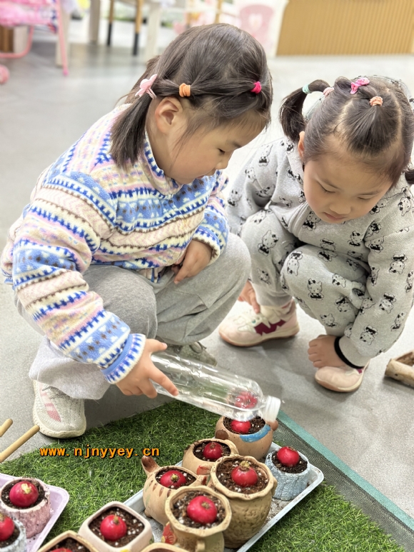 附件：IMG_2168(20240428-081012).JPG