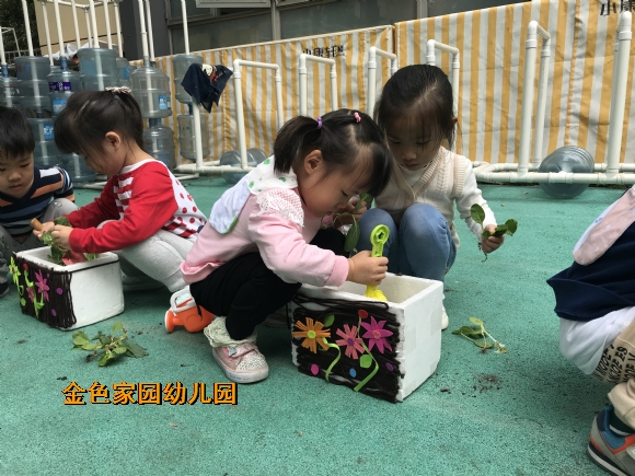 附件：IMG_2859.JPG