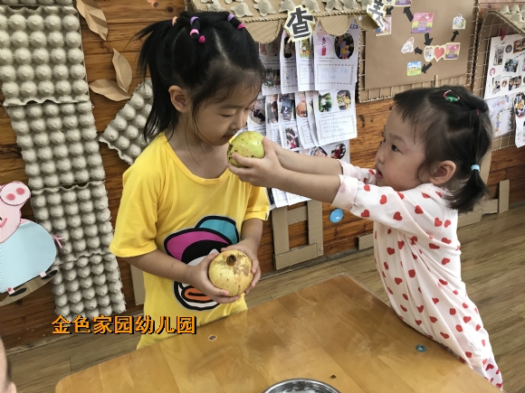 附件：IMG_1174.JPG