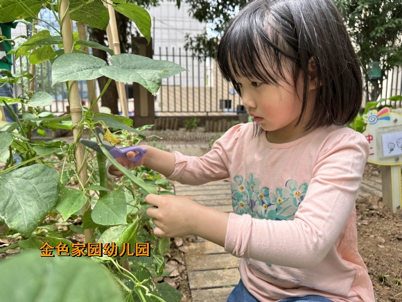 附件：IMG_7595.JPG