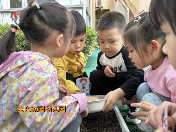附件：IMG_0524.JPG