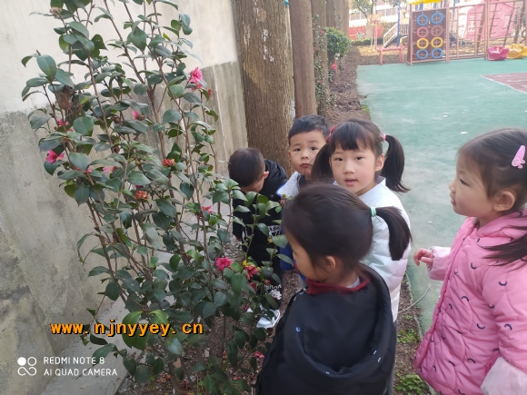 附件：1.3.jpg