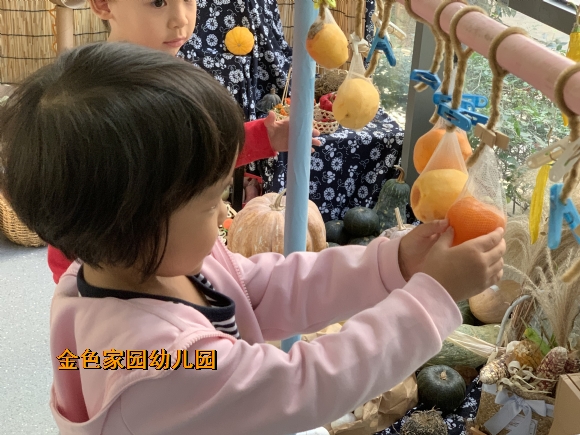 附件：IMG_E9504.JPG