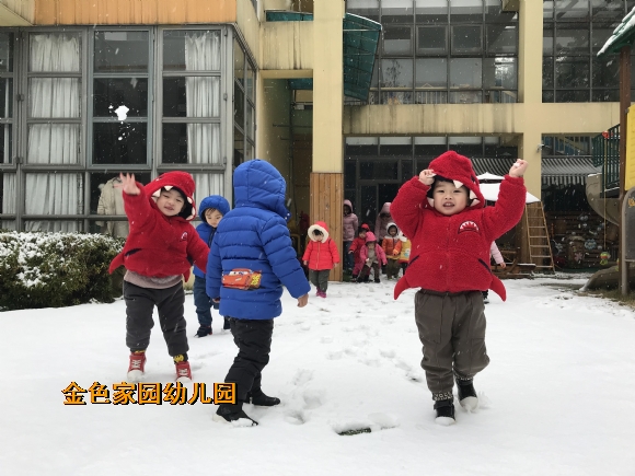 附件：IMG_4629.JPG