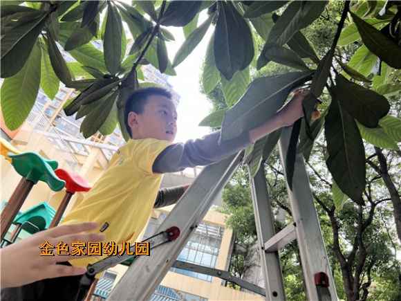 附件：IMG_0328.JPG