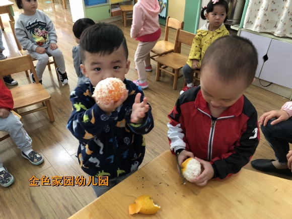 附件：IMG_3182.JPG