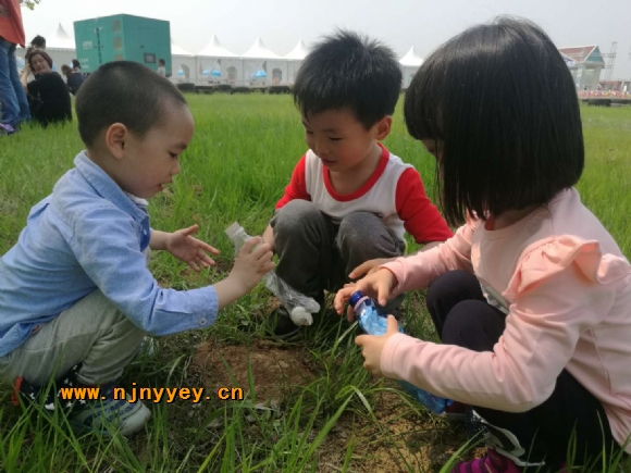 附件：IMG_4531.JPG