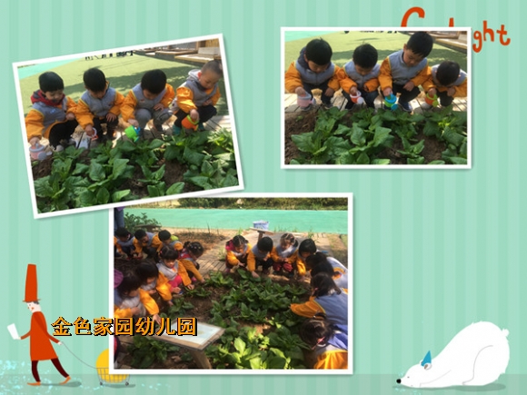 附件：2.jpg