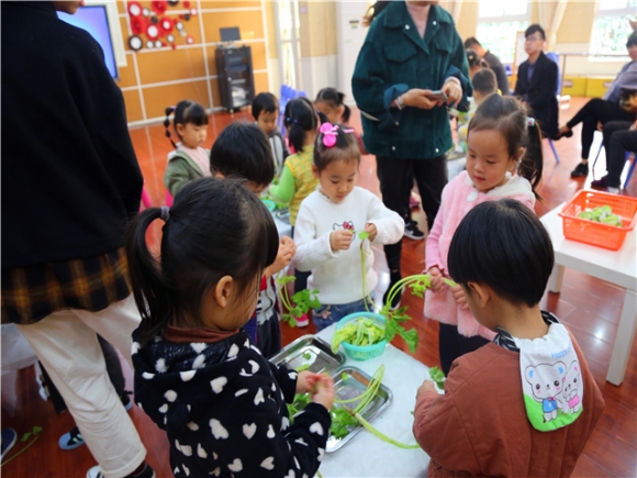 附件:IMG_0055.JPG 附件:IMG_0055.JPG