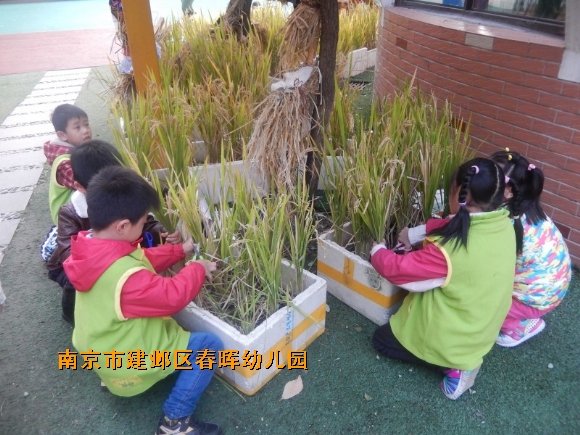 附件：conew_dscn4603.jpg