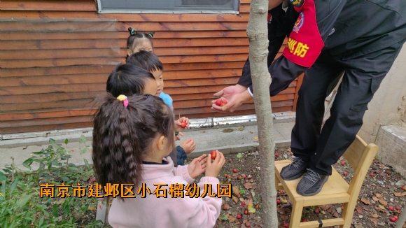 附件：IMG_20241118_092439.jpg