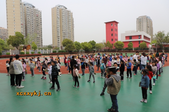 附件：IMG_5497.jpg