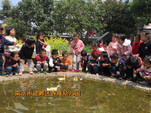 附件：IMG_6116.JPG