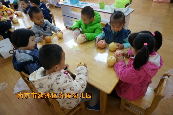 附件：DSC02882.JPG