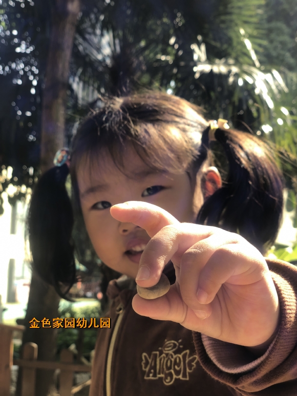 附件：0F49F29D4BF46542C11569D926D5B7E9.JPG
