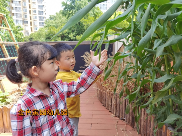 附件：0x1ewbdu0cdd1652860719248.jpg