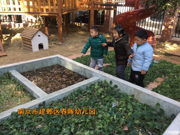 附件：conew_img_7230.jpg
