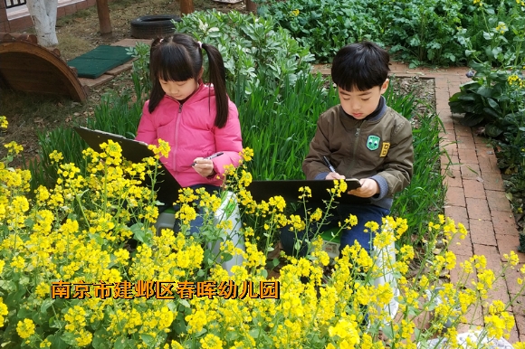 附件：寰俊鍥剧墖_20180327114953.jpg