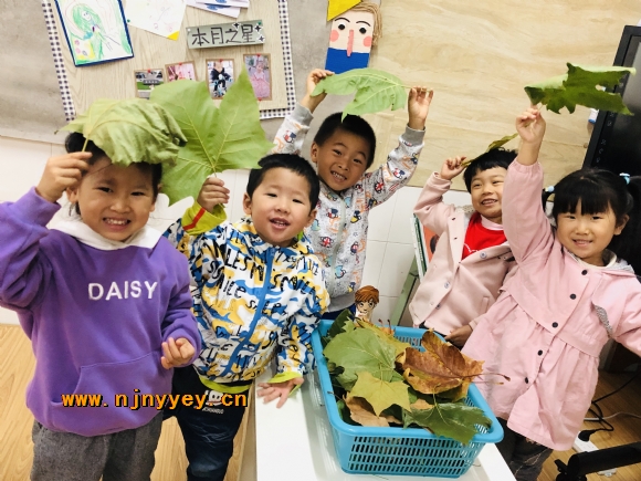 附件：小二班IMG_7952(20201104-000033).JPG