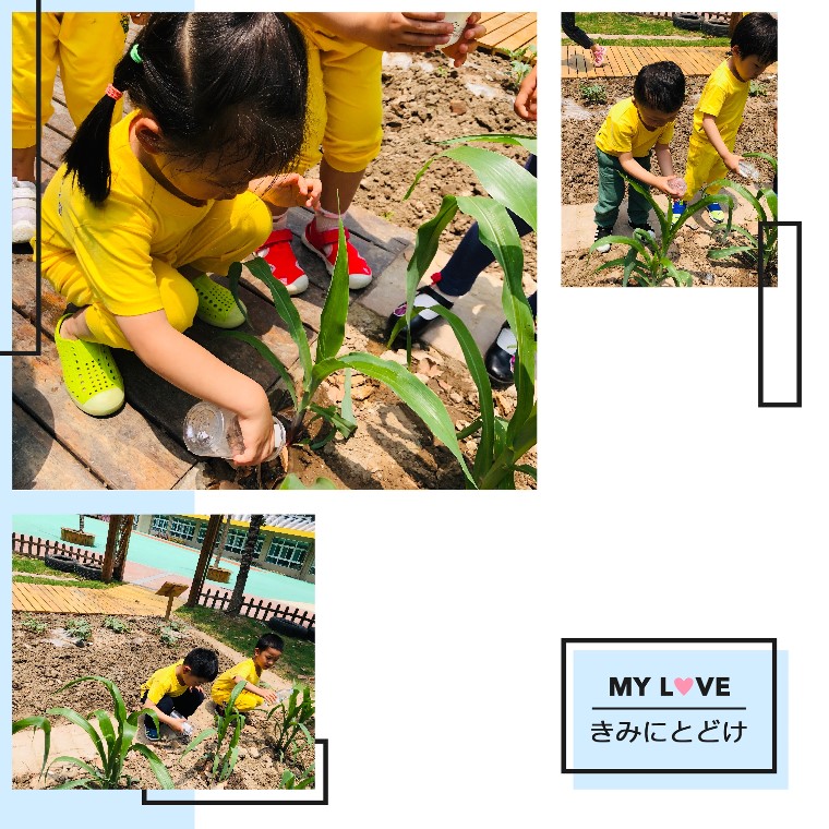 20190607085631009.jpg 微信图片_20190607085453.jpg