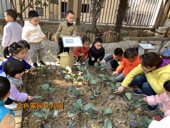 附件：IMG_1982.JPG
