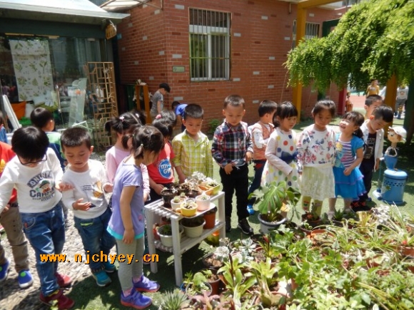 附件：conew_dscn3227.jpg