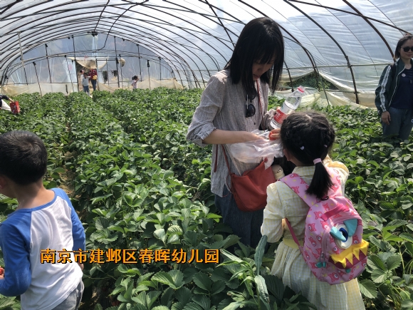 附件：IMG_4144.JPG
