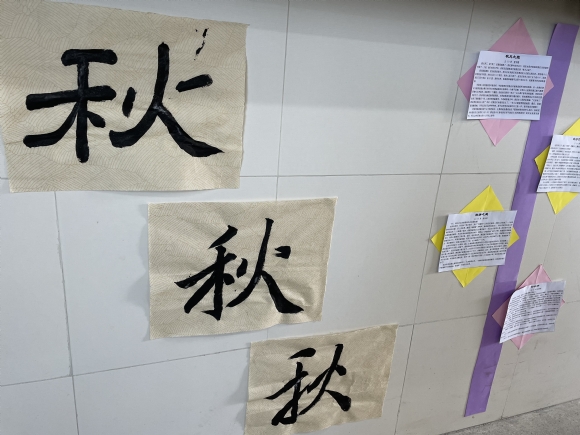 附件：IMG_2095.JPG