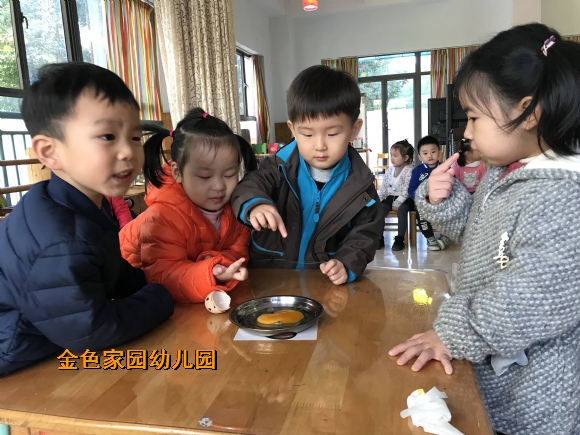 附件：IMG_3855.JPG