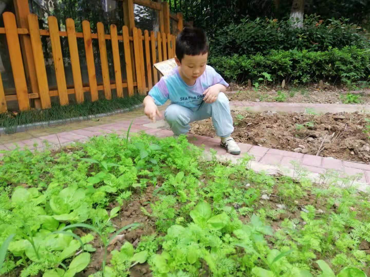 20210617130932018.jpg 微信图片_20210617130914.jpg
