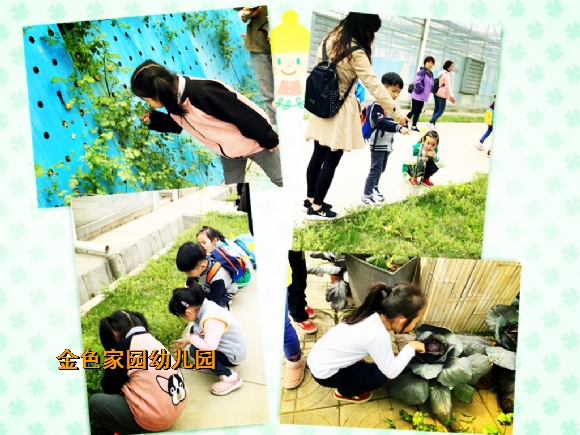 附件：745894319601632741_鍓湰.jpg