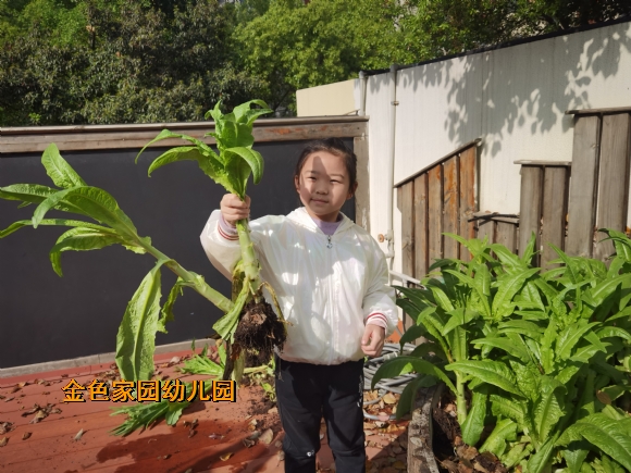 附件：IMG_20230407_152659.jpg