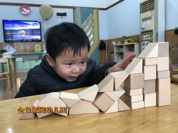 附件：IMG_5865.JPG